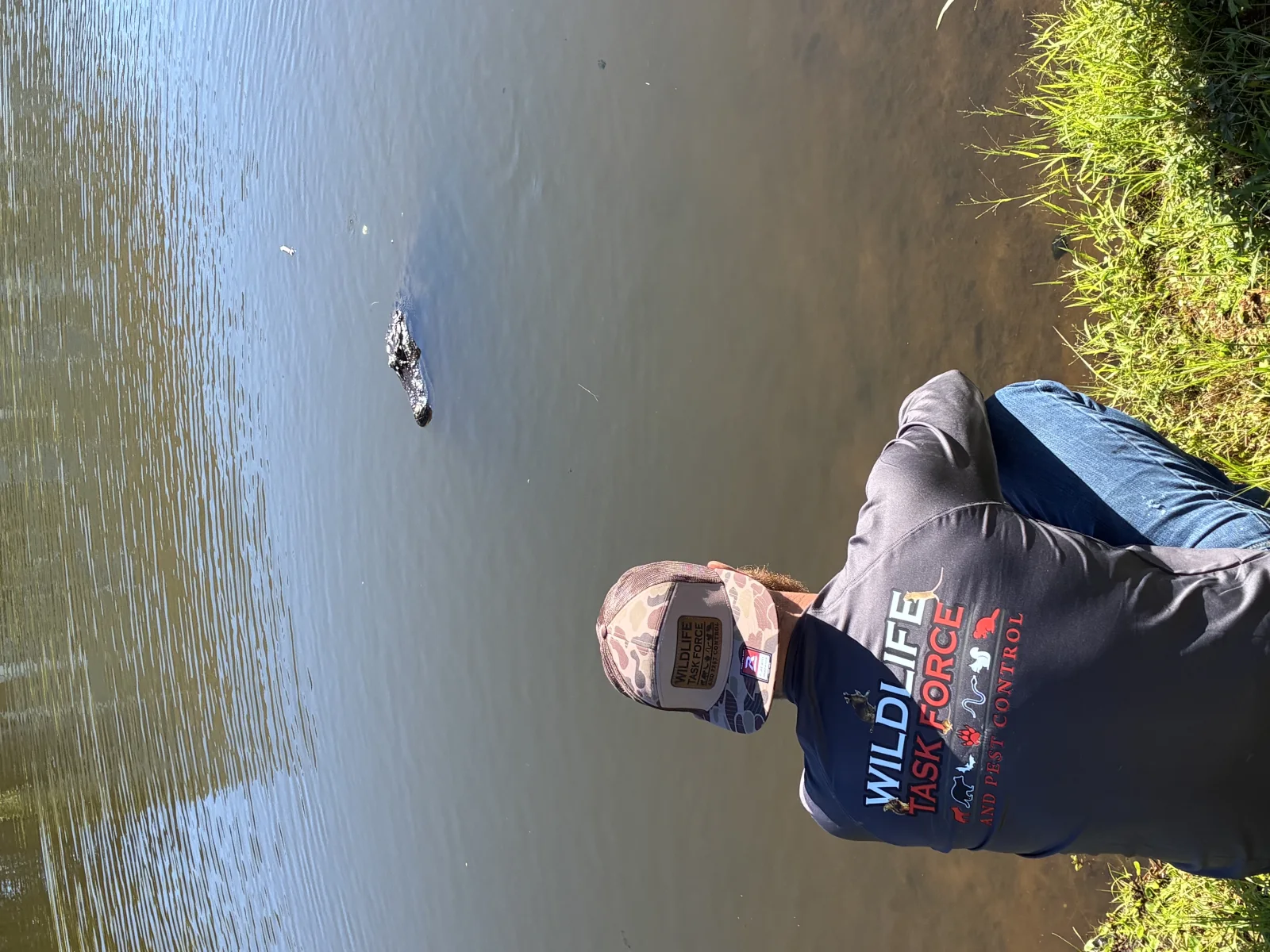 Wildlife Task Force technician assessing an alligator from a safe distance