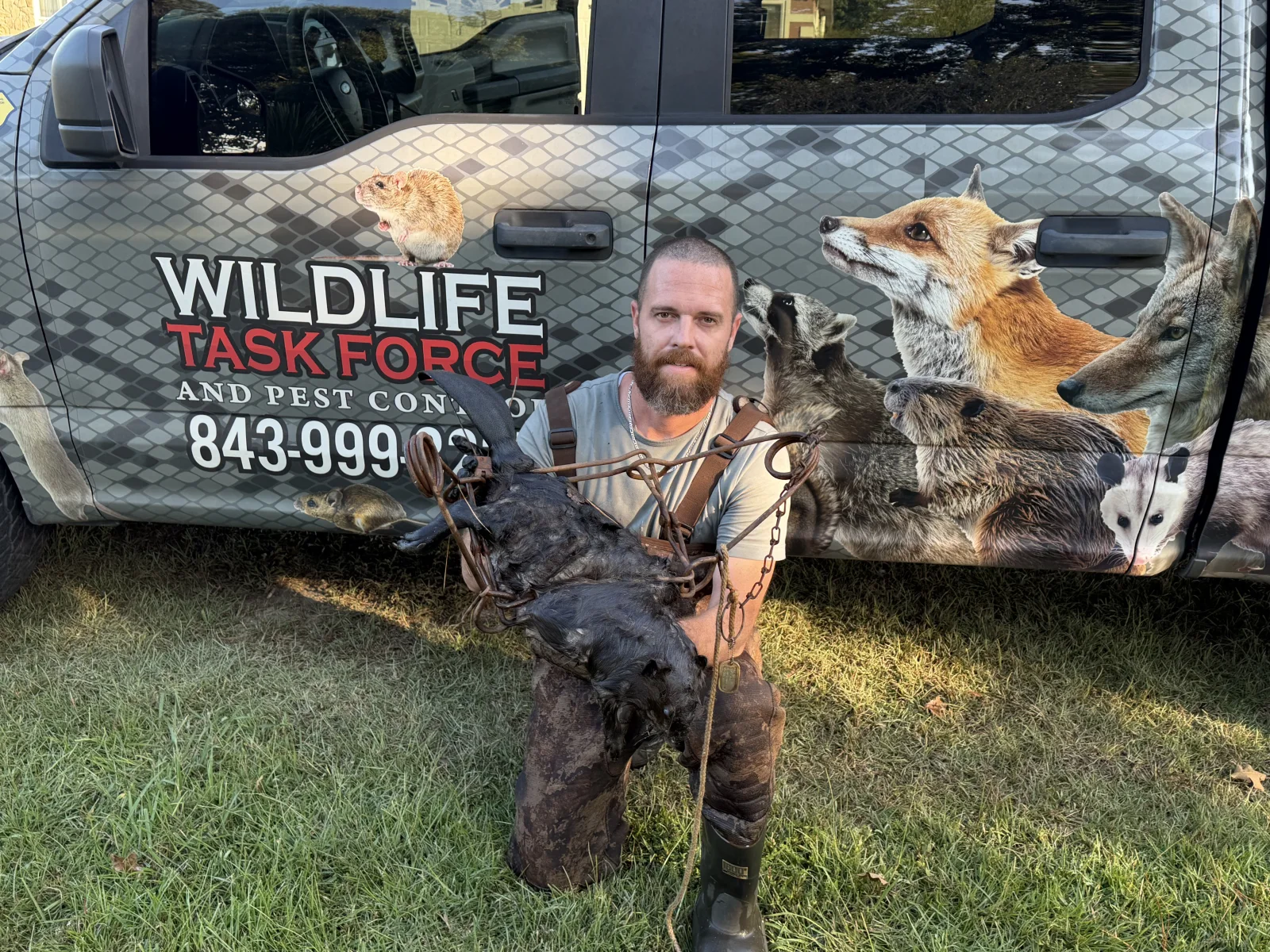 Wildlife Task Force technician with trapping equipment and branded service truck